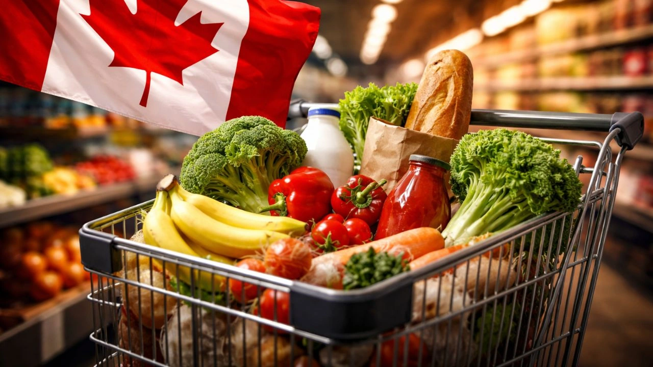 Canada announces grocery aid along with GST HST credit increase what to know
